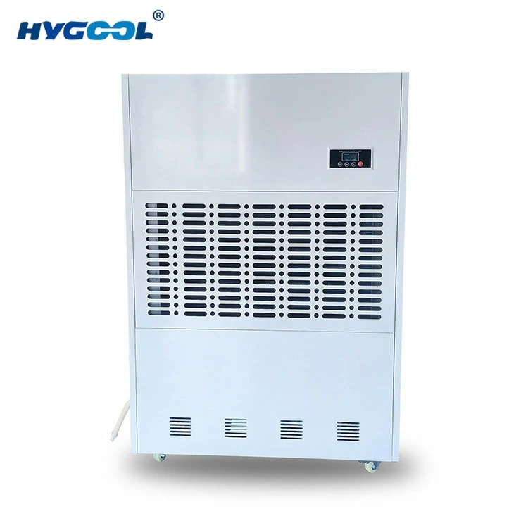 Sab Hauv Tsev Pas Dej Chav Dehumidifier